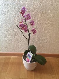 Close-up of flower vase on table against wall