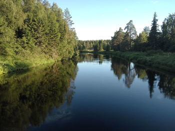 Scenic view of lake in forest against sky