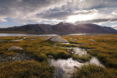 Scenic view of landscape against sky