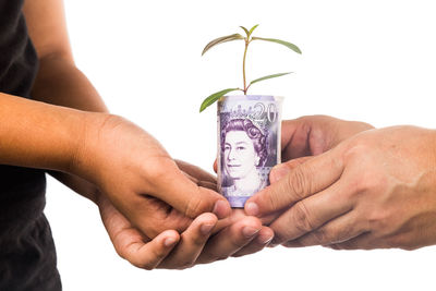 Close-up of hands holding purple over white background