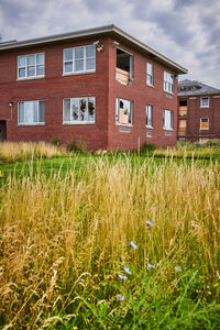 House on field