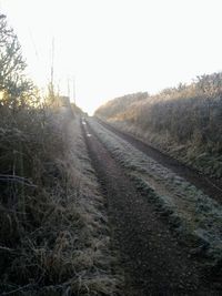 Railroad tracks amidst trees against clear sky