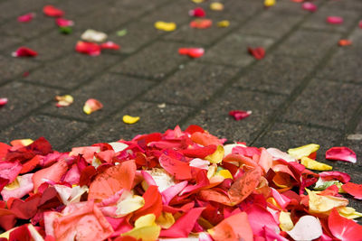 High angle view of red maple leaves on footpath