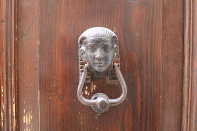 Close-up of cat on wooden door