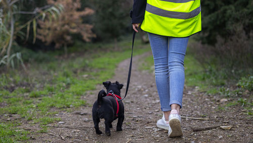 Kennel volunteer walking through the forest to a dog kennel.