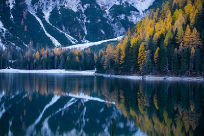 Scenic view of lake in forest during autumn