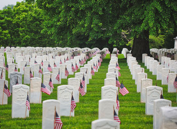 Row of people at cemetery