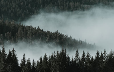 Panoramic view of waterfall in forest against sky