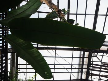 Low angle view of skylight