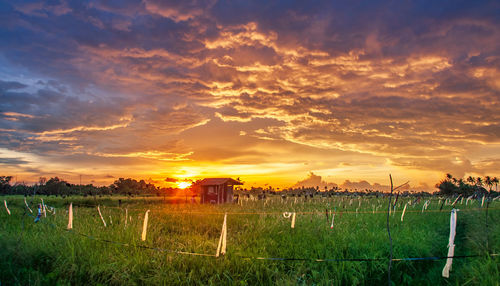 Scenic view of field against sky during sunset