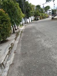 Surface level of empty road along trees