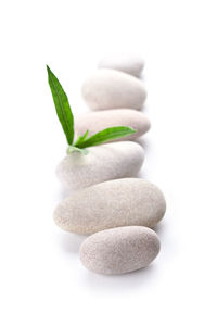 Close-up of pills on white background