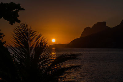 Silhouette palm trees by sea against sky during sunset