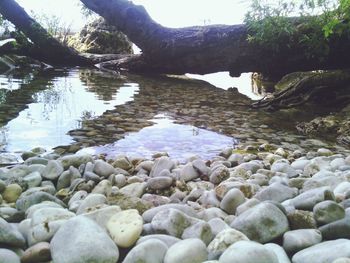 Rocks in river