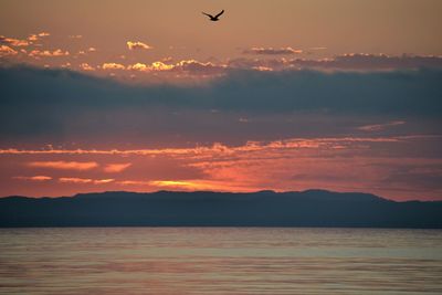 Scenic view of sea against sky during sunrise