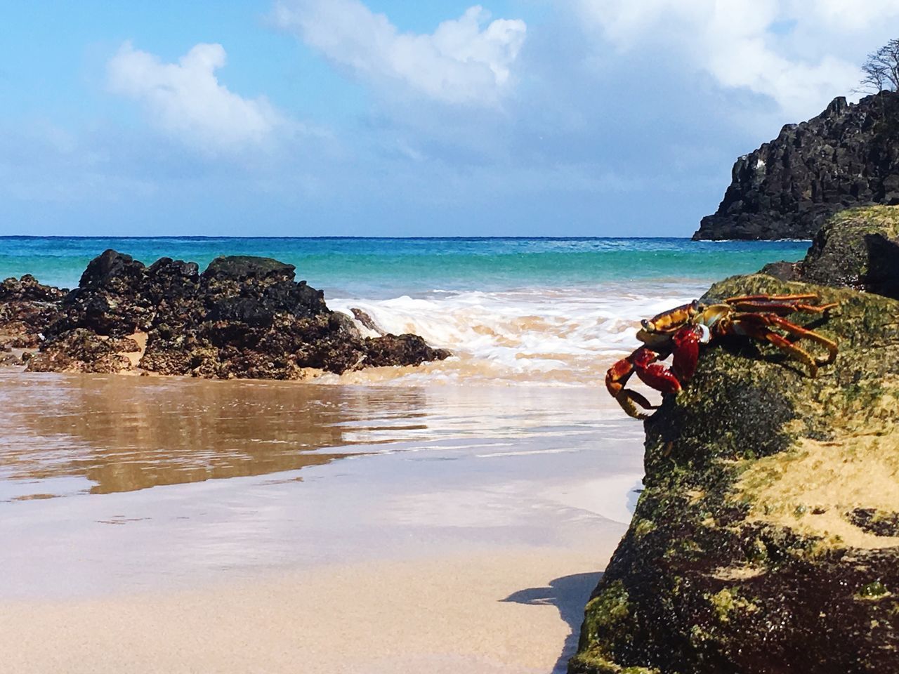 SCENIC VIEW OF BEACH