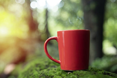 Close-up of coffee cup on table