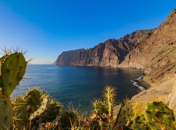 Scenic view of sea against clear blue sky