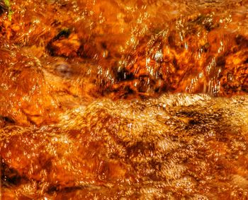 Full frame shot of orange water