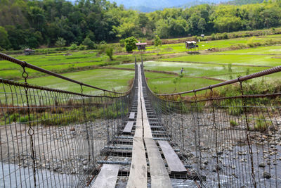 Footbridge amidst trees on landscape