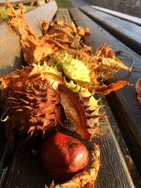 High angle view of fruits and leaves on wood