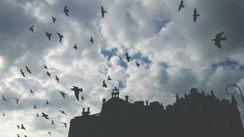 Low angle view of bird flying against cloudy sky