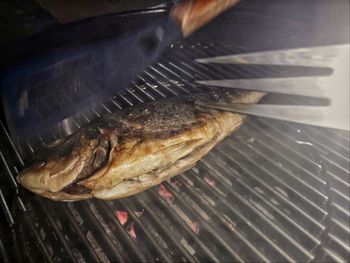 High angle view of fish on barbecue grill