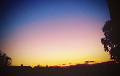 Silhouette trees against clear sky during sunset