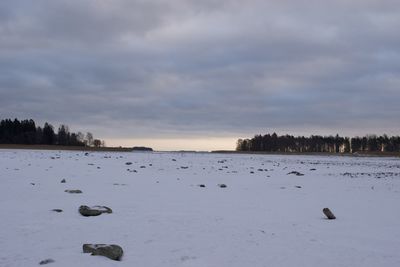 winter
