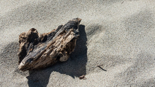 High angle view of shadow on sand