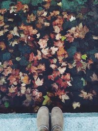 Low section of person standing on ground