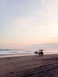 Sunset view on shore with horses cart as the main object