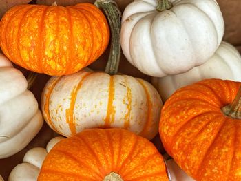 High angle view of pumpkins in market