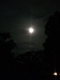 Low angle view of silhouette trees against sky at night