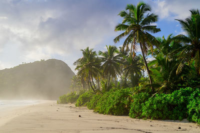 Scenic view of beach against sky