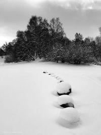 Snow covered land and trees against sky