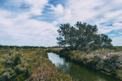 Scenic view of lake against sky