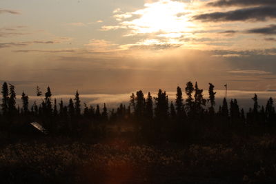 Scenic view of silhouette trees against sky during sunset