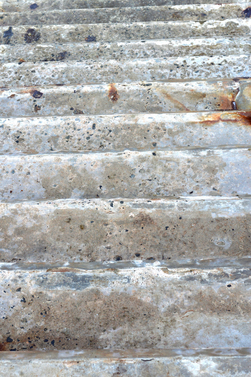 HIGH ANGLE VIEW OF LIZARD ON CONCRETE WALL