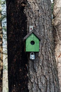 Close-up of birdhouse on tree trunk