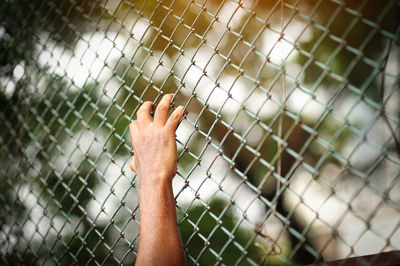 Close-up of hand on chainlink fence