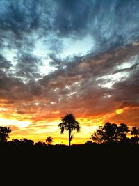 Silhouette trees against dramatic sky during sunset