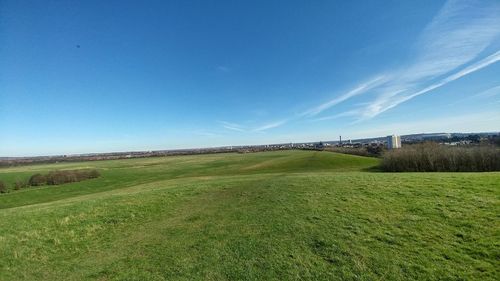 Scenic view of field against clear blue sky