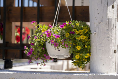 A hanging flower pot or vase outdoor.