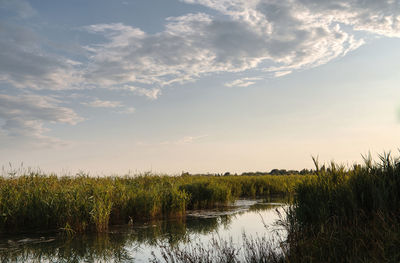 Scenic view of lake against sky