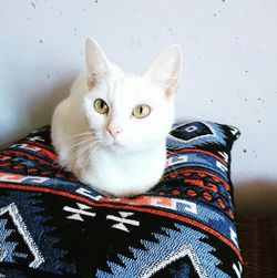 Close-up portrait of cat relaxing at home