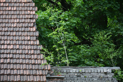 High angle view of trees and plants against building