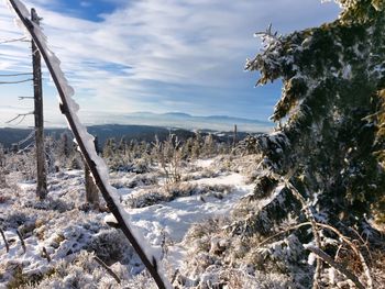 winter