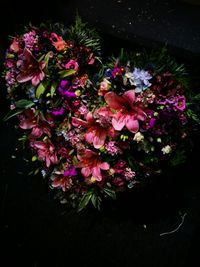 Close-up of flowers against black background