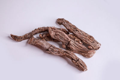 Close-up of dried shell on wood against white background